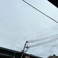 画像282